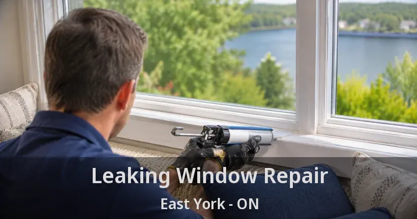 Leaking Window Repair East York - ON